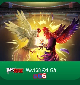 s66
